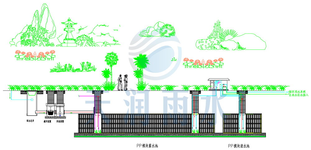公园雨水利用系统