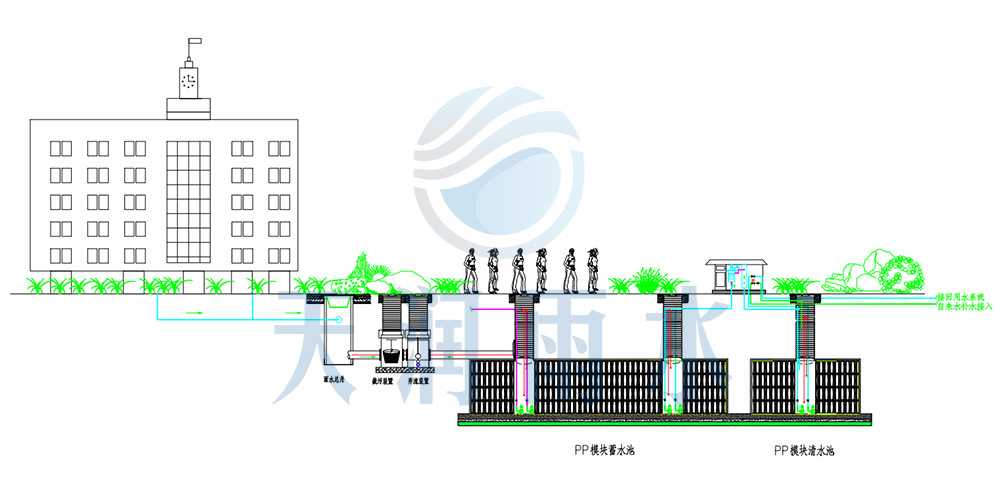 学校雨水收集方案